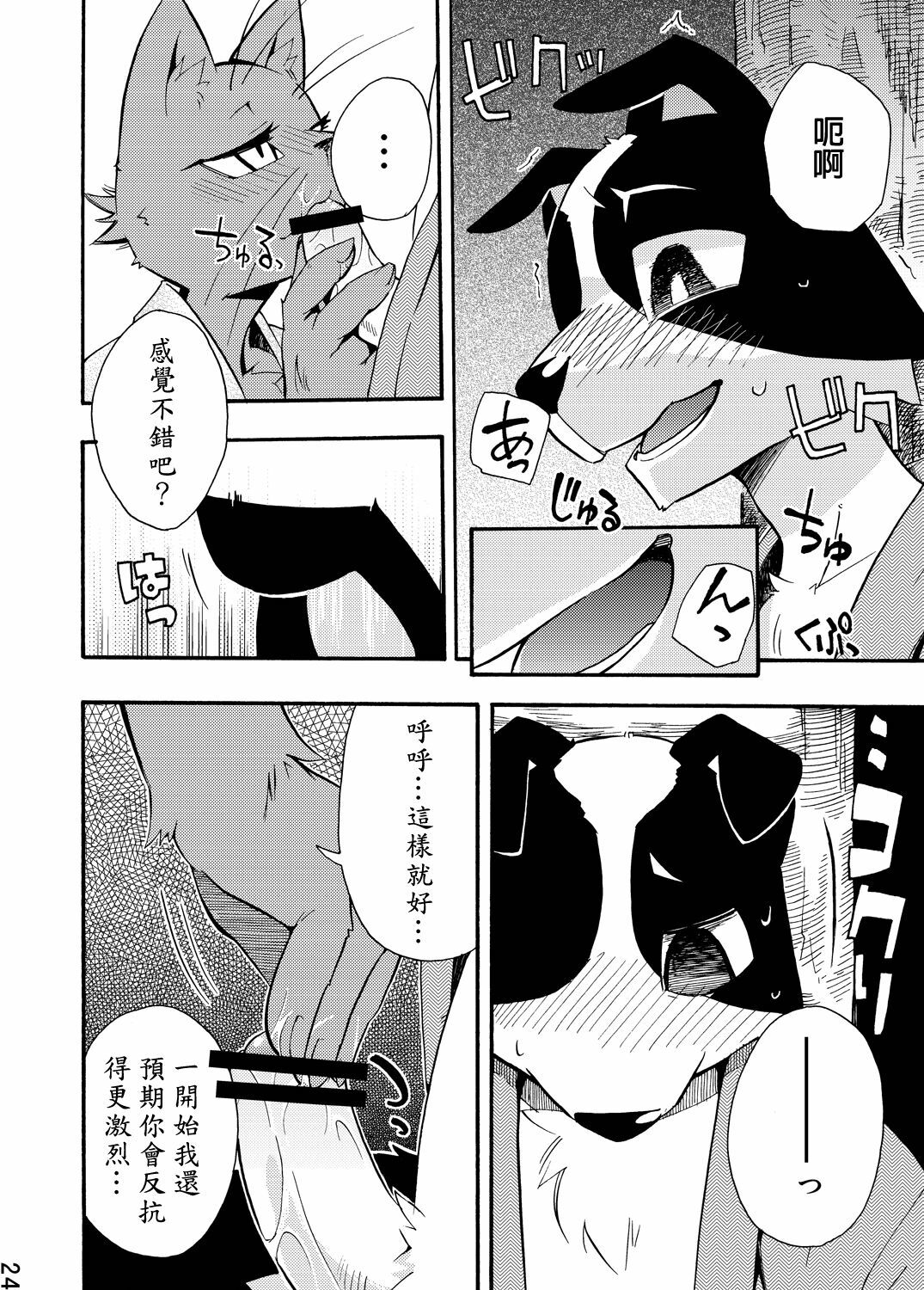 (C76) [Harugoya (Harusuke)] Harubon 5 [Chinese] page 22 full