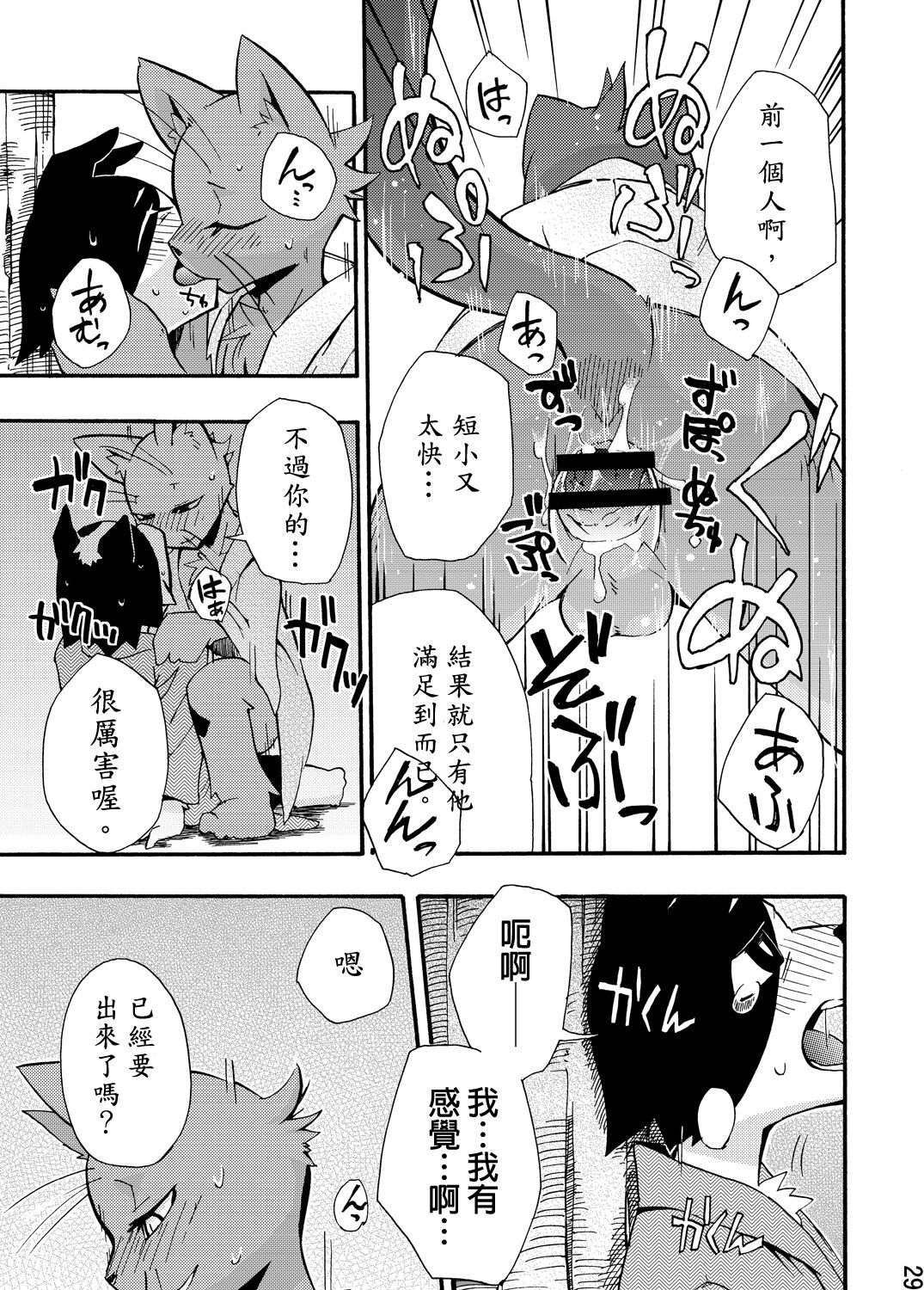 (C76) [Harugoya (Harusuke)] Harubon 5 [Chinese] page 27 full