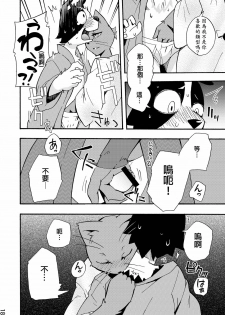(C76) [Harugoya (Harusuke)] Harubon 5 [Chinese] - page 16
