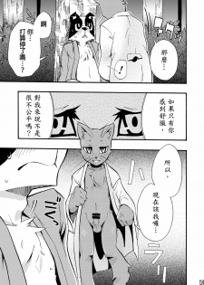 (C76) [Harugoya (Harusuke)] Harubon 5 [Chinese] - page 23