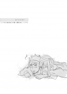 (C78) [goo-paaa (Ocha)] picoler (DARKER THAN BLACK) [Chinese] [楓色漢化] - page 2