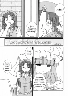 (C78) [DOORS, UA (Sakura, Teramoto Kaoru)] Under the Rose (Touhou Project) [English] [Wings of Yuri] - page 18