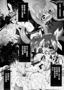 (C77) [Yuugai Tosho Kikaku (Tanaka Naburu)] Goumon Kan Nappa hen (Mahou Shoujo Lyrical Nanoha) [Chinese] [lzmcsa個人漢化] - page 19
