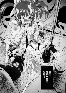 (C77) [Yuugai Tosho Kikaku (Tanaka Naburu)] Goumon Kan Nappa hen (Mahou Shoujo Lyrical Nanoha) [Chinese] [lzmcsa個人漢化] - page 24