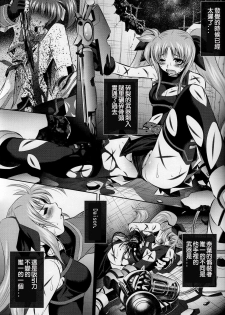 (C77) [Yuugai Tosho Kikaku (Tanaka Naburu)] Goumon Kan Nappa hen (Mahou Shoujo Lyrical Nanoha) [Chinese] [lzmcsa個人漢化] - page 3
