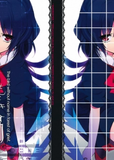 (C78) [super:nova (Yukimachi Tounosuke)] Na Mo Naki Tori - The bird without name in forest of grief. (Touhou Project) [English] [CGRascal]