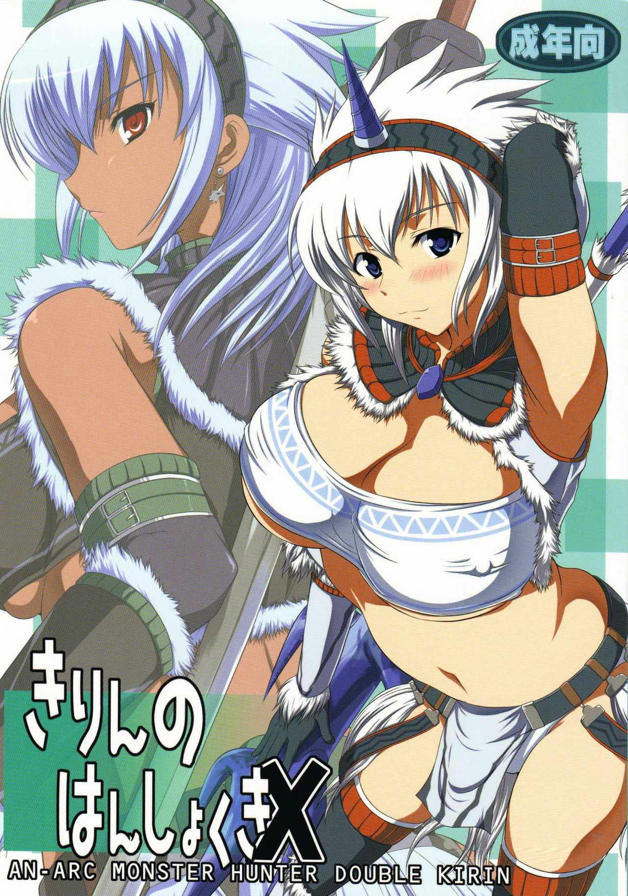 (C76) [An-Arc (Hamo)] Kirin no Hanshokuki X (Monster Hunter) [English] {doujin-moe.us} page 1 full