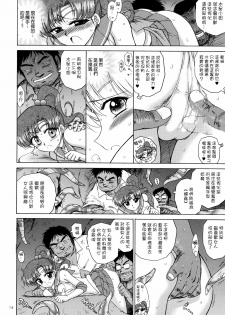 (C77) [BLACK DOG (Kuroinu Juu)] TOWER OF GRAY (Bishoujo Senshi Sailor Moon) [Chinese] [lzmcsa個人漢化] - page 13
