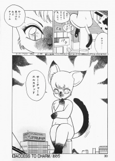 [Trump] Charm The Cat - page 30