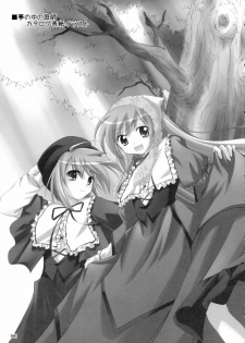 (C70) [Titokara 2nd Branch (Manami Tatsuya)] SUIDARAKE (Rozen Maiden) [Korean] - page 40
