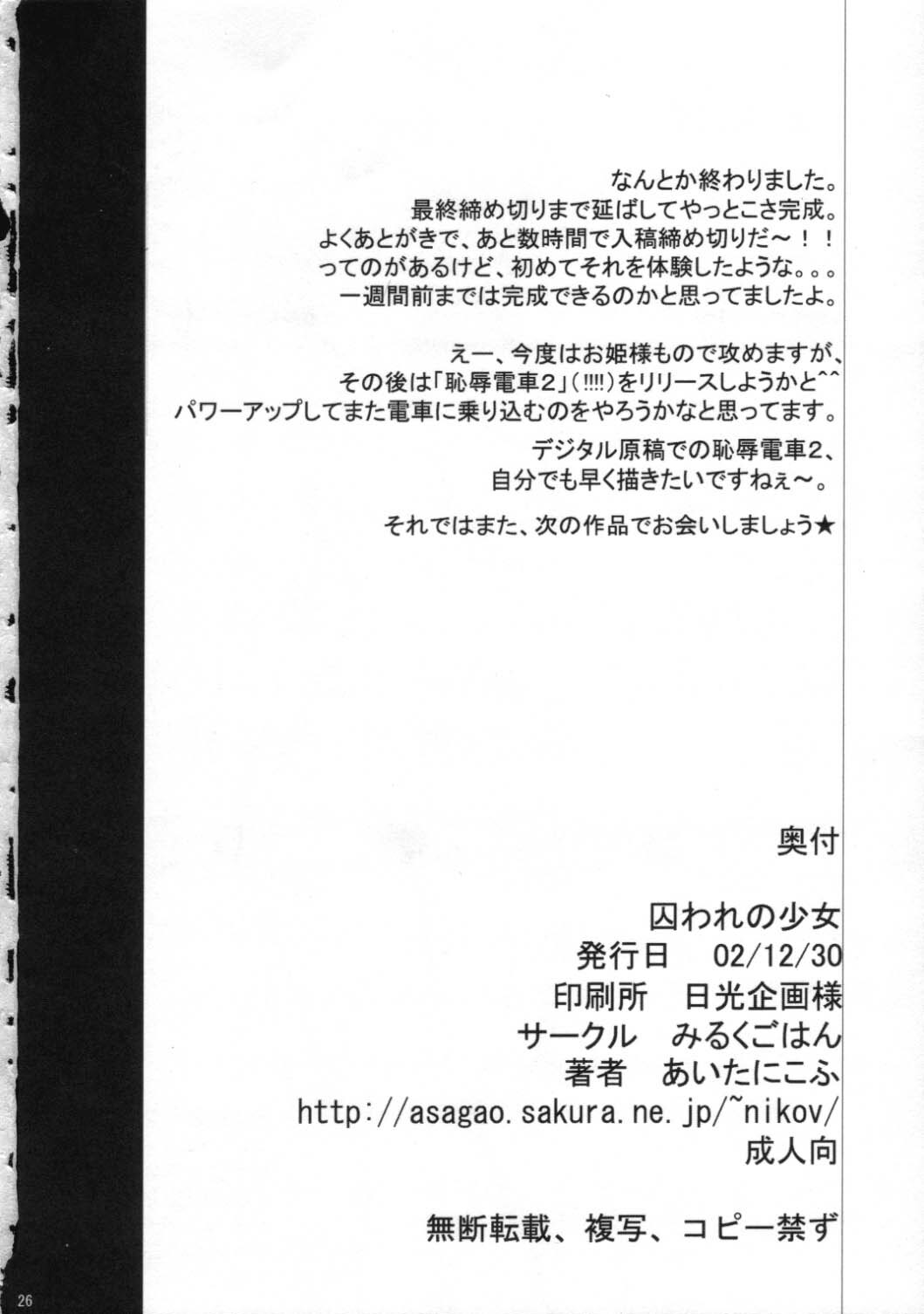 (C63) [Milk Gohan (Aita Nikov)] Toraware no Shoujo (Kouryuu Densetsu Villgust) page 25 full