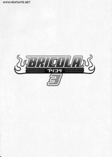 (C77) [Diogenes Club (Haikawa Hemlen)] Bricola 3 (Bleach) [Portuguese-BR] [HentaiPie] - page 5