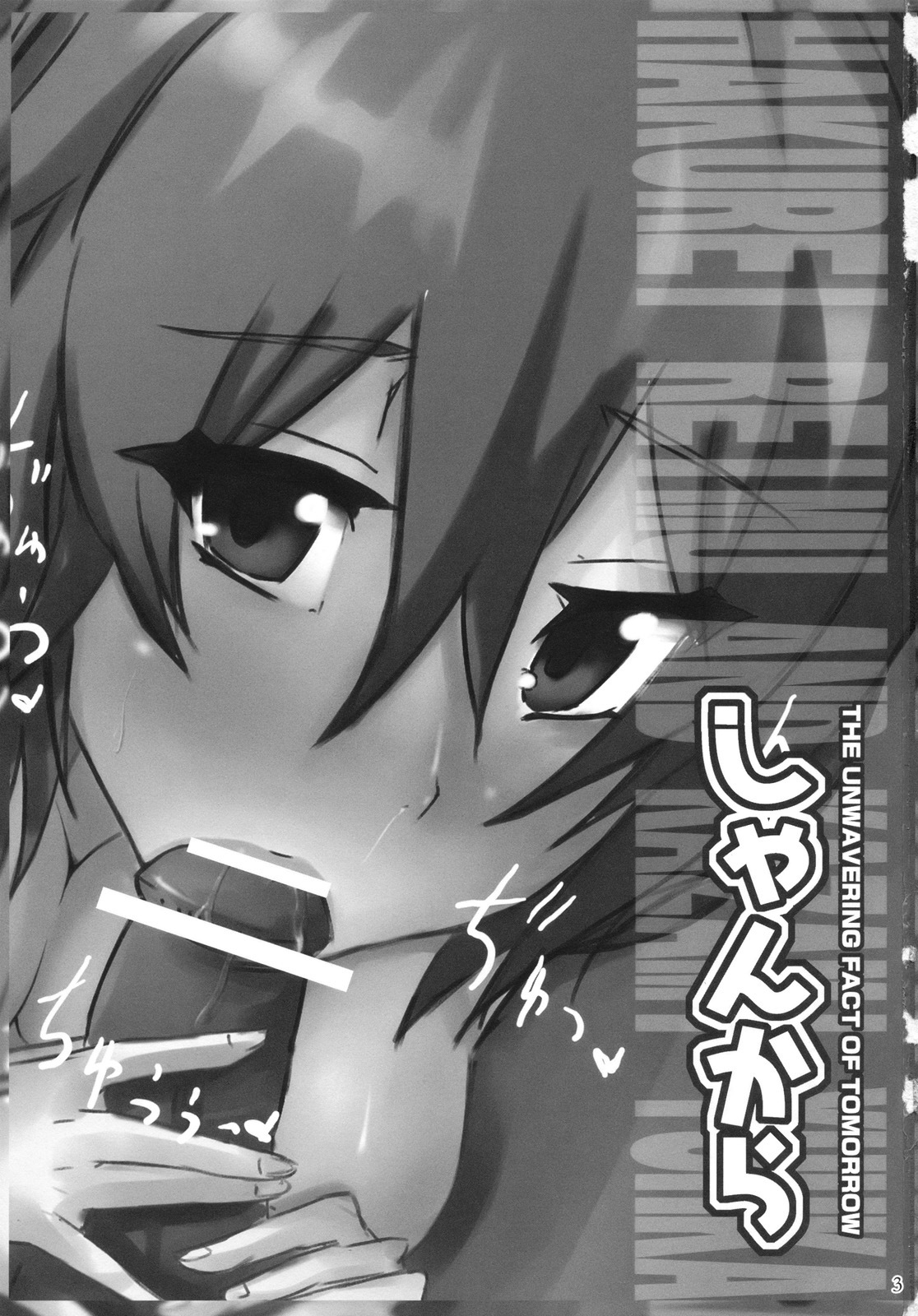 (C78) [L.G.C. (Rib:y(uhki))] Shankara - The Unwavering Fact of Tomorrow (Touhou Project) page 3 full