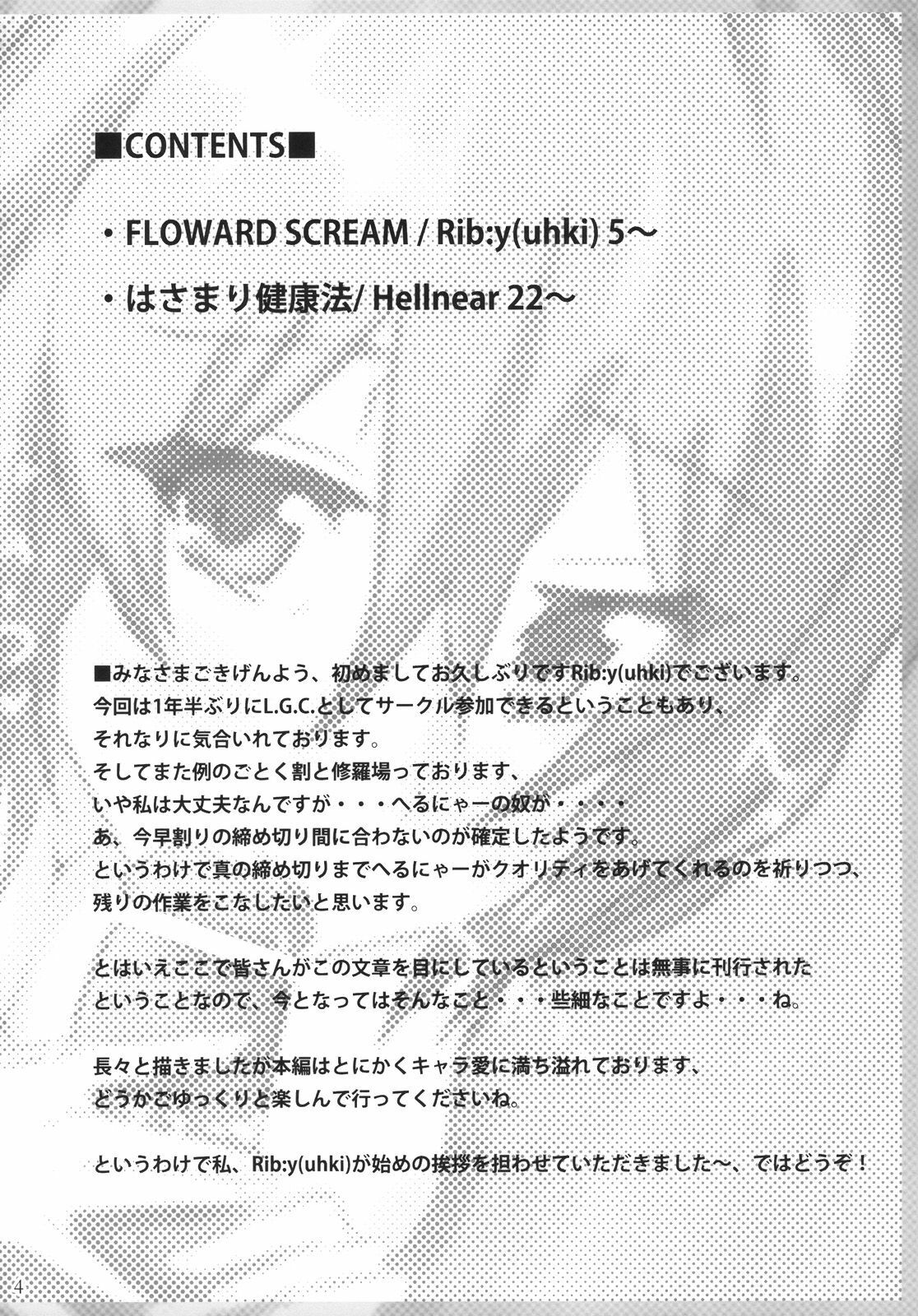 (C78) [L.G.C. (Rib:y(uhki))] Shankara - The Unwavering Fact of Tomorrow (Touhou Project) page 4 full