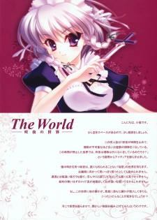 (C78) [TINY WAVE (s-yin)] Sakuya no Sekai (Touhou Project) - page 4