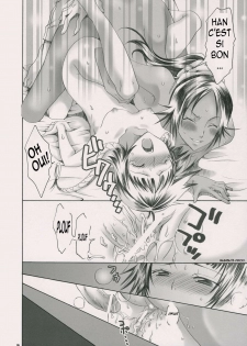 (C70) [Kurione-sha (YU-RI)] Spicy Honey (Bleach) [French] [MunSu] - page 17