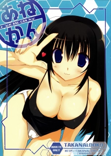 (C78) [Takanaedoko (Takanae Kyourin)] ANE-CAN [Chinese] [萌动汉化组] - page 2