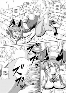 [Pyramid House] Sow in the Bunny (Dragon Ball) [English] {doujin-moe} - page 20