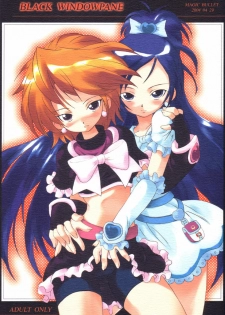 (CR35) [magic bullet (RT.)] BLACK WINDOWPANE (Futari wa Precure, Summon Night 3)