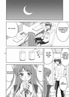 (C76) [YASRIN-DO (Yasu Rintarou)] Touka Kenran (Shin Koihime Musou) [Portuguese-BR] [Harutashi] - page 13