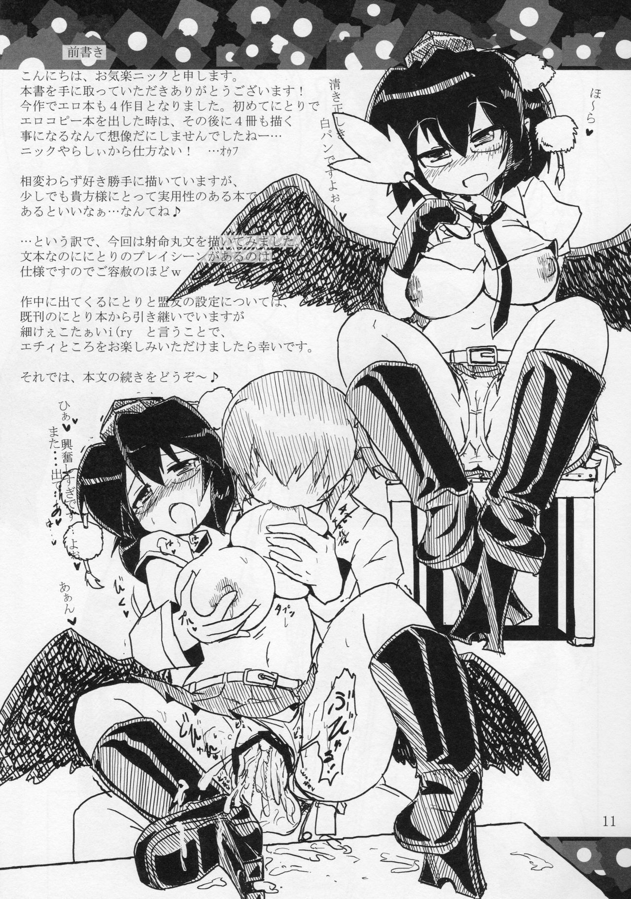 (C78) [Panzers (Okiraku Nic)] Aya Sex (Touhou Project) page 11 full