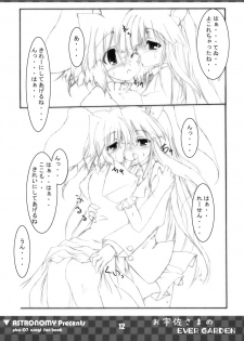 [COMIC1] [ASTRONOMY (SeN)] Ousa-sama no EVER GARDEN (Touhou Project) - page 12