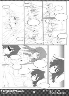[COMIC1] [ASTRONOMY (SeN)] Ousa-sama no EVER GARDEN (Touhou Project) - page 18