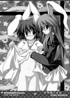 [COMIC1] [ASTRONOMY (SeN)] Ousa-sama no EVER GARDEN (Touhou Project) - page 7