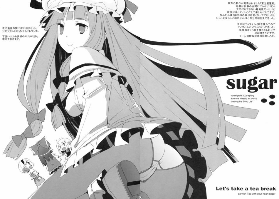 (Reitaisai 6) [NURSERYTALE (Yamane Masato)] Sugar (Touhou Project) [Chinese] [绯色汉化组] page 14 full