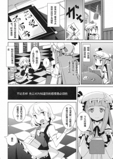 (Reitaisai 6) [NURSERYTALE (Yamane Masato)] Sugar (Touhou Project) [Chinese] [绯色汉化组] - page 4