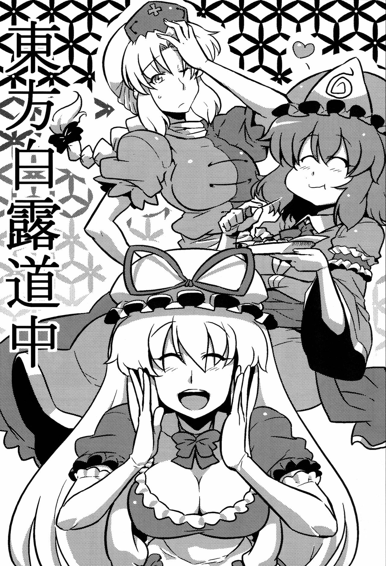 (C78) [Circle Nuruma-ya (Tsukiwani)] Hakuro Douchuu (Touhou Project) [English] [U MAD] page 3 full