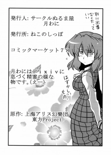 (C78) [Circle Nuruma-ya (Tsukiwani)] Hakuro Douchuu (Touhou Project) [English] [U MAD] - page 46