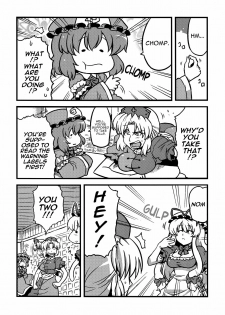 (C78) [Circle Nuruma-ya (Tsukiwani)] Hakuro Douchuu (Touhou Project) [English] [U MAD] - page 6