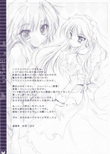 (C73) [Hisuitei (Izumi Tsubasu)] Hina Asobi (Hayate no Gotoku!) [Chinese] [绯色汉化组] - page 20