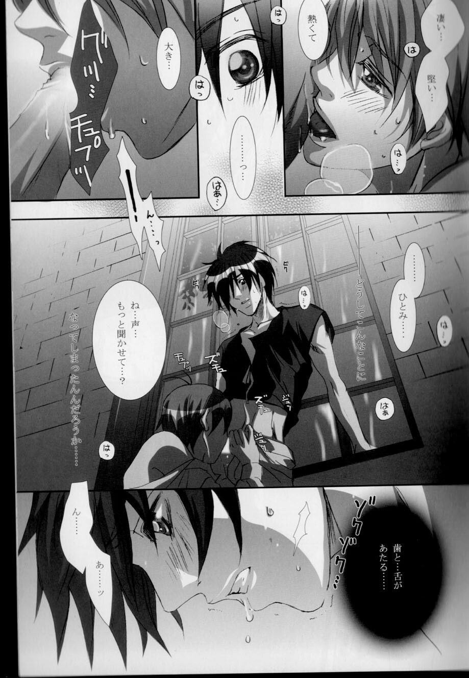 (C68) [Takahashi Kanbanten (Tajima Minato)] Kago no Tori 3 (Tenkuu No Escaflowne) page 29 full