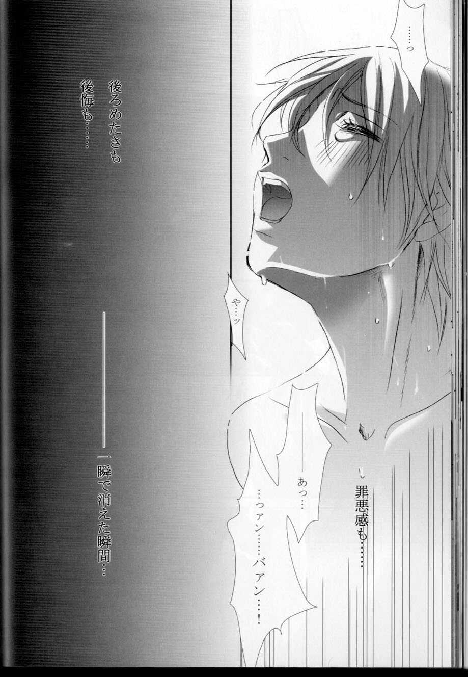 (C68) [Takahashi Kanbanten (Tajima Minato)] Kago no Tori 3 (Tenkuu No Escaflowne) page 34 full