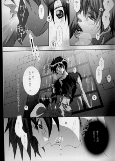 (C68) [Takahashi Kanbanten (Tajima Minato)] Kago no Tori 3 (Tenkuu No Escaflowne) - page 29