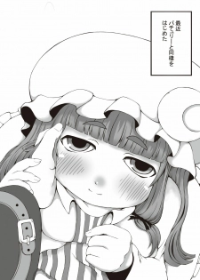 [Marble Cube (Tonta, Kaya)] JEWEL BOX Vol.5 (Touhou Project) - page 14
