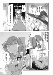 (C73) [Katamichi Kippu (Mikage Sekizai)] Sonna Gensoukyou (Touhou Project) [Chinese] [绯色汉化组] - page 9