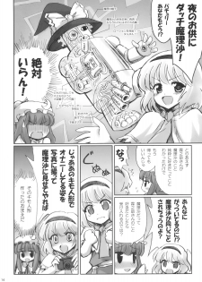 (C78) [54burger (Marugoshi)] ALICE IN NIGHTMARE (Touhou Project) - page 14