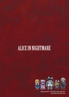 (C78) [54burger (Marugoshi)] ALICE IN NIGHTMARE (Touhou Project) - page 28