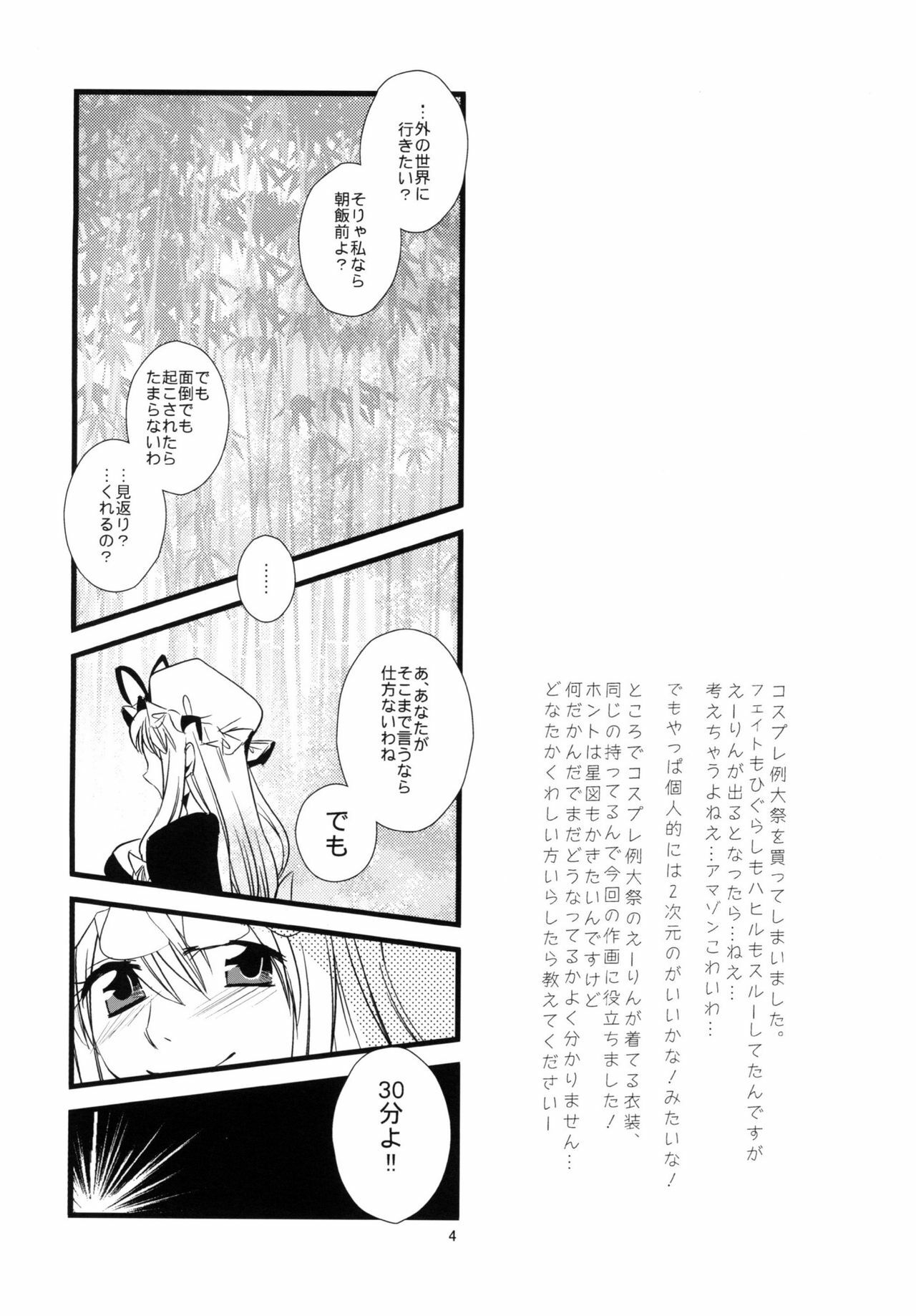 [pinktips.info (kazuha)] Cosplay Reitaisai o Katte shimatta. (Touhou Project) [Digital] page 4 full