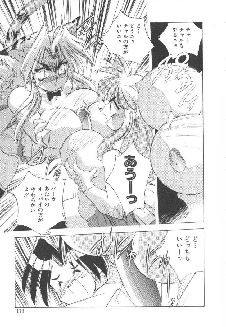 [Hariken Hanna] Totsuzen! Cat tale EX page 113 full