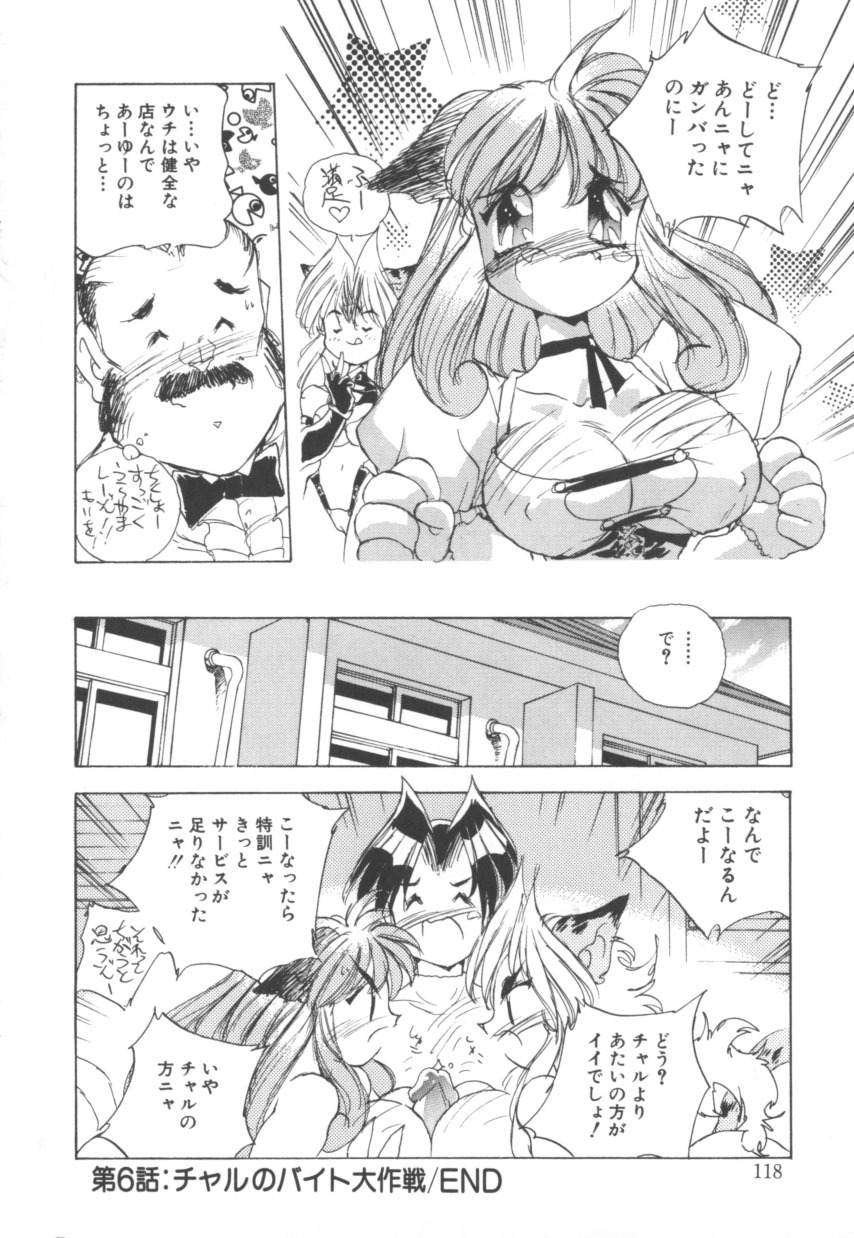 [Hariken Hanna] Totsuzen! Cat tale EX page 118 full