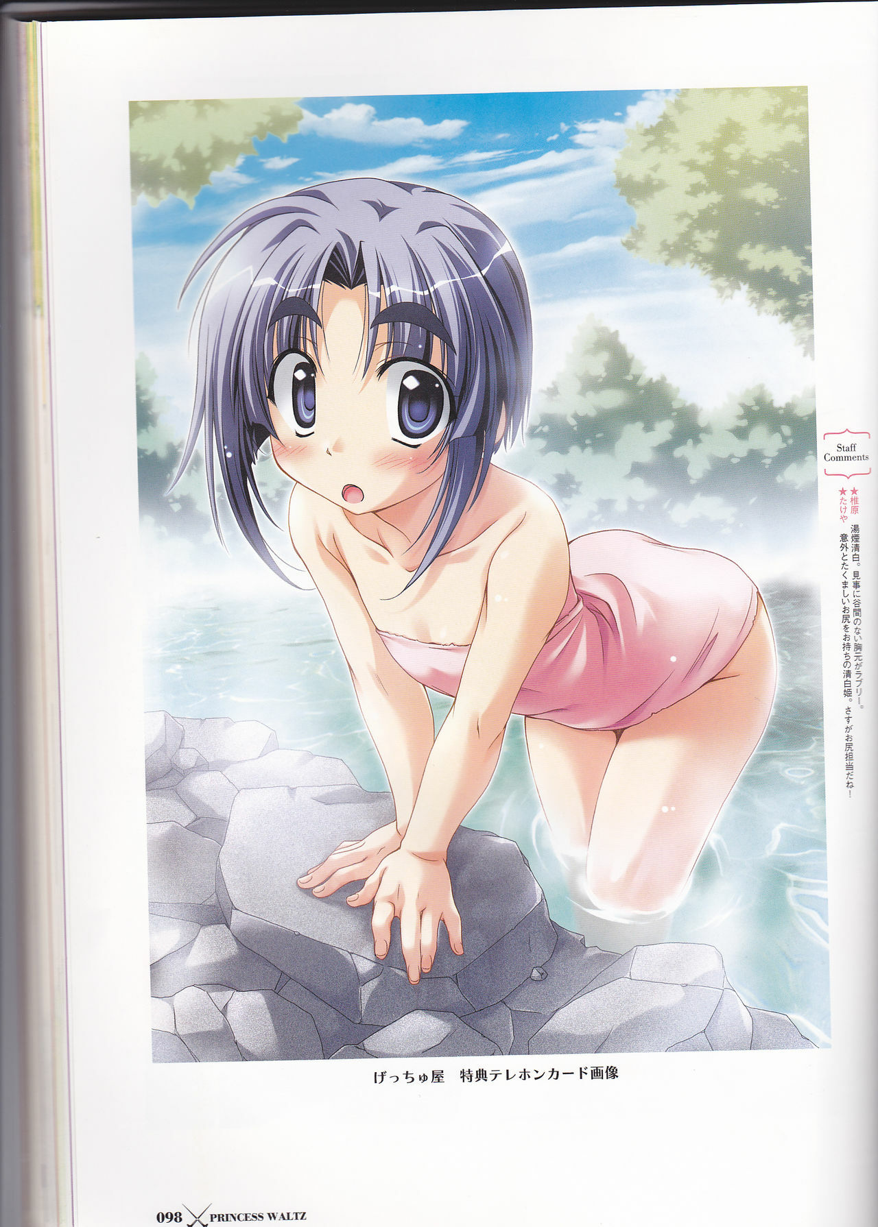 Princess Waltz Visual Fanbook page 100 full