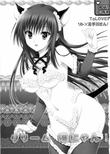 (C76) [USAUSA (Akira)] Cream Yui Nyan! (ToLOVE-Ru) [English] =FapWorthy= - page 3