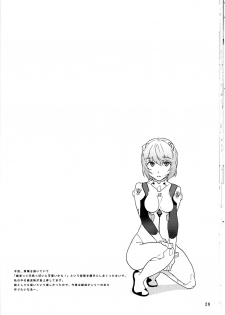 (C78) [(K)works (Kari)] RED x BLUE (Neon Genesis Evangelion) - page 26
