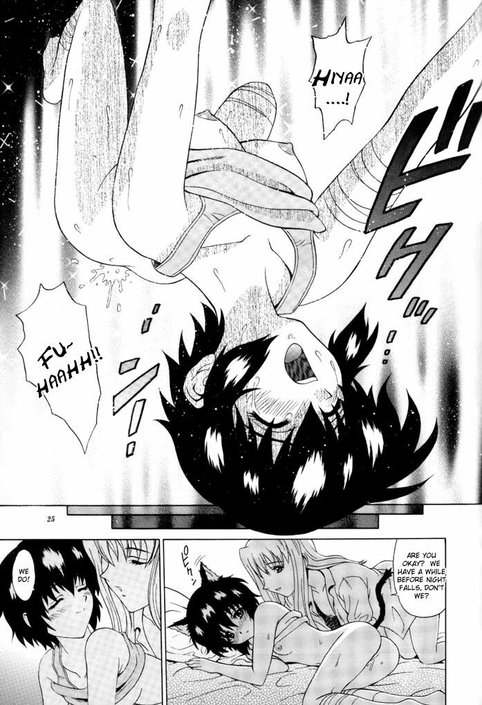 (C61) [GUST (Harukaze Soyogu)] Kuronekotachi no Kyouen La banquet de Chat Noir | Feat of the Black Cats -La banquet de Chat Noir- (Noir) [English] [Elegant Succubus] page 24 full
