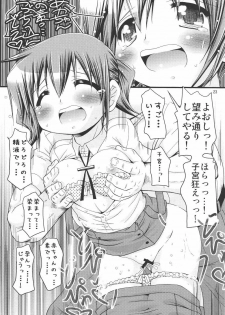 (ComiComi14) [FESTA. (Yoshitani Ganjitsu)] IT Shoujo N3 (Hidamari Sketch) - page 22