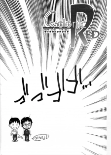 (C78) [Myapuken (Myapuzou)] Cyclonic Red (Neon Genesis Evangelion) - page 4